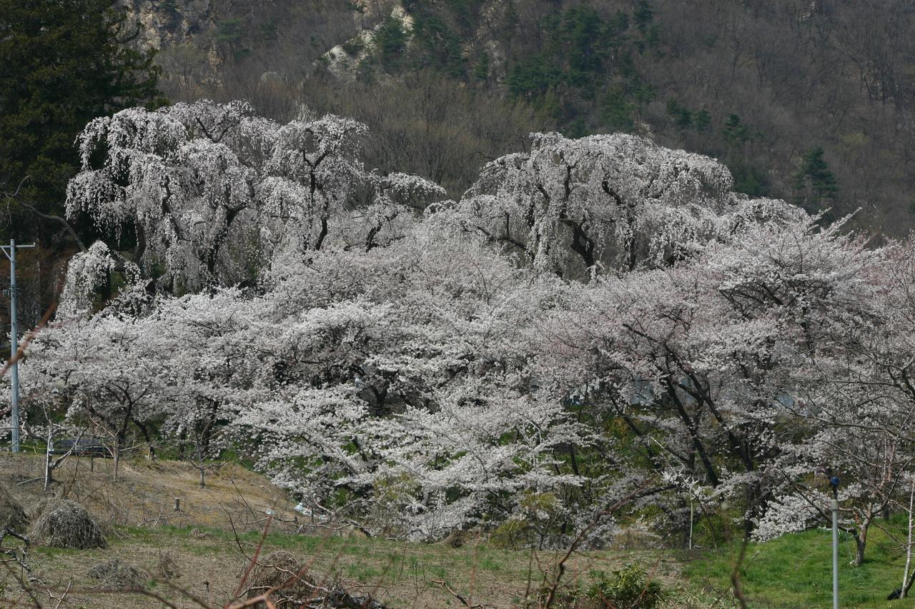 Shosenkaku Hotel Nagano Eksteriør billede